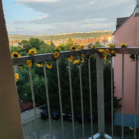 Star #3c315 By Starbnb Eu Apartament